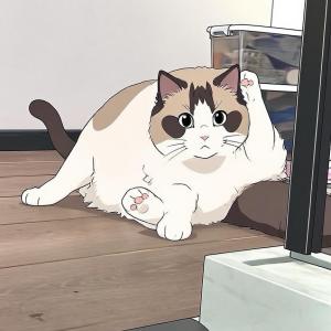 ddd-img